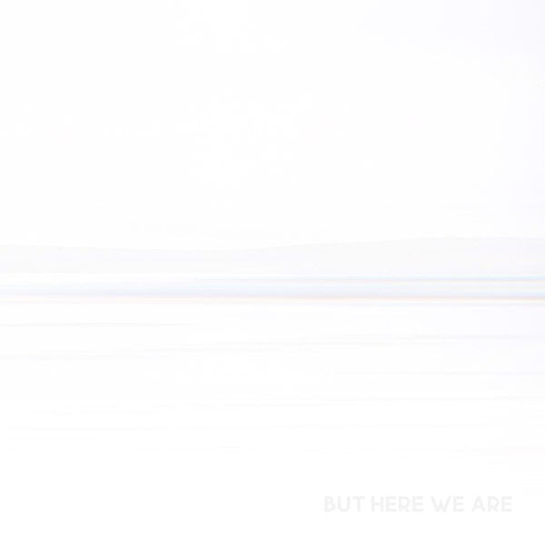 Foo Fighters | But Here We Are | Album