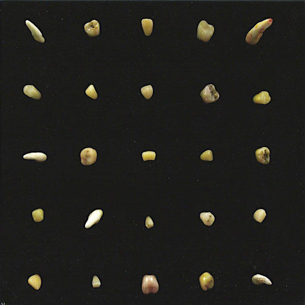 Clipping | Visions of Bodies Being Burned | Album