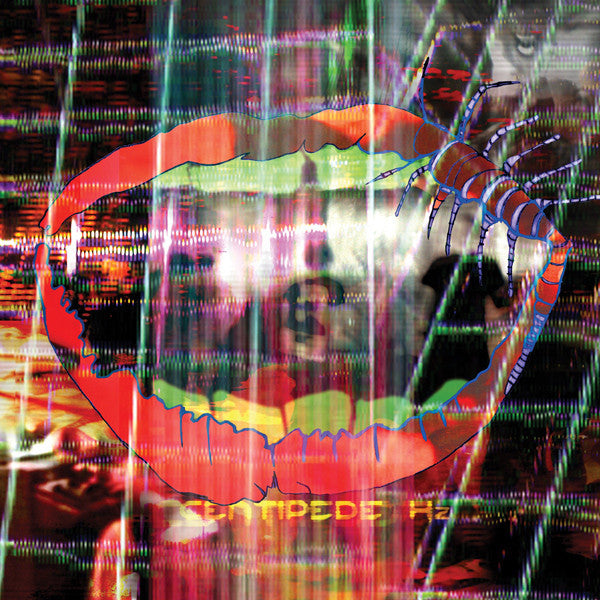 Animal Collective | Centipede Hz | Album