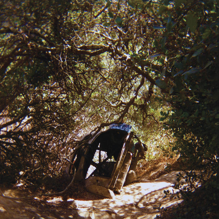Ty Segall ‘Possession’