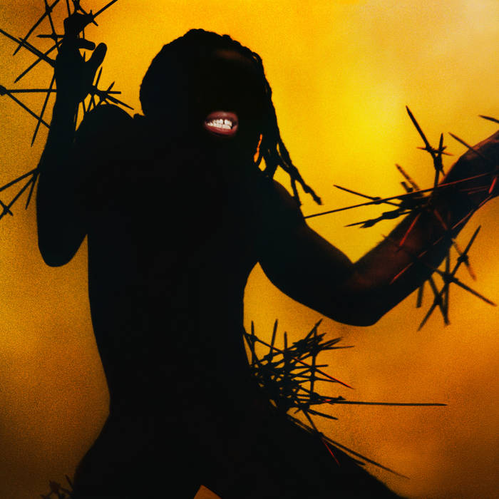 Young Fathers | Heavy Heavy | Album