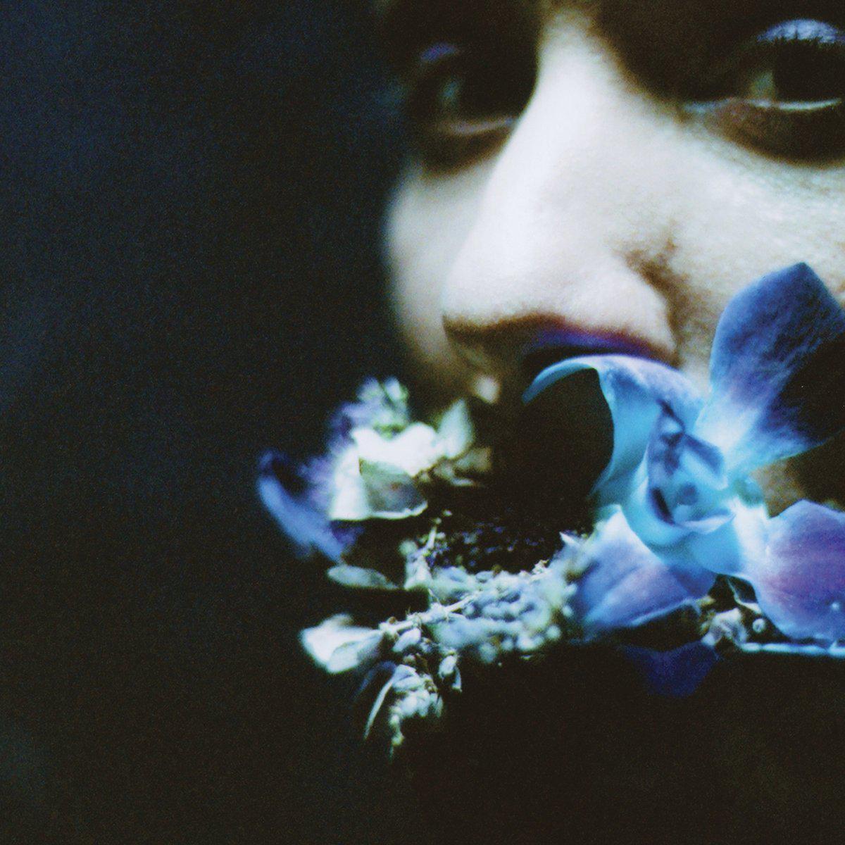 Circuit des Yeux | Reaching for Indigo | Album