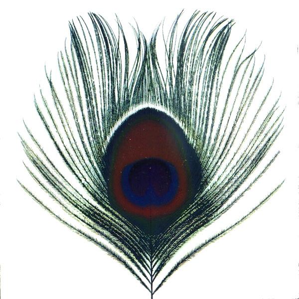 XTC | Apple Venus Volume 1 | Album