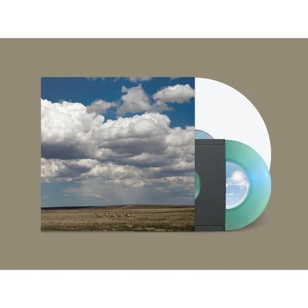 Fruit Bats - Tripper (Colored Vinyl, White, Deluxe Edition, Reissue) (Bonus 7" Single) Vinyl