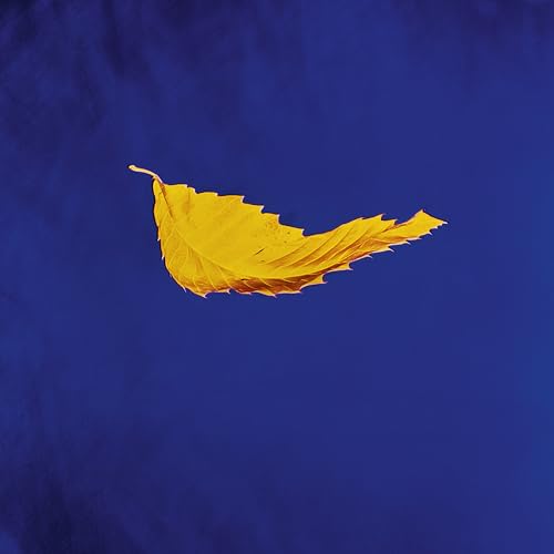 New Order - True Faith (2023 Remaster) Vinyl
