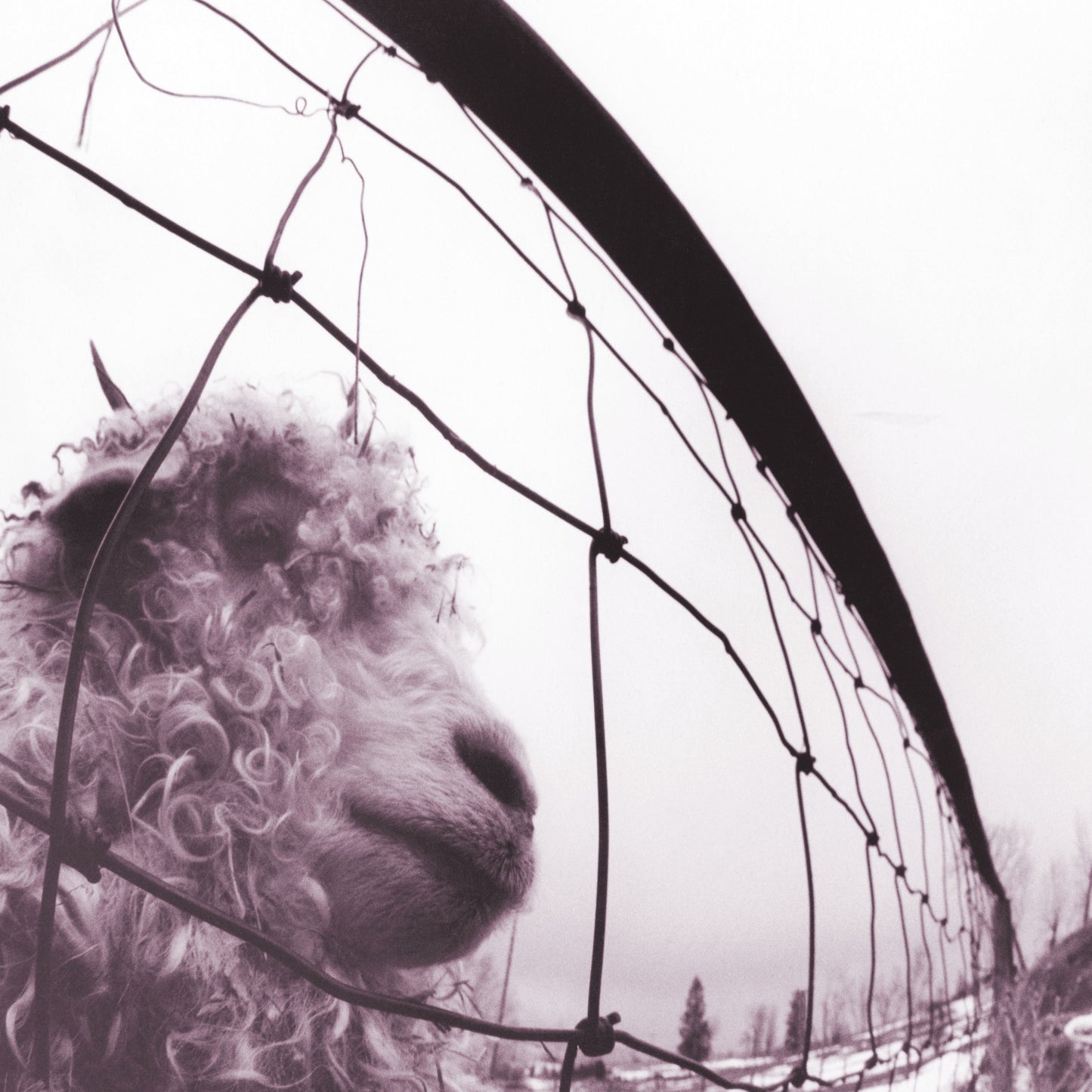 Pearl Jam - Vs. (30th Anniversary Edition) Vinyl