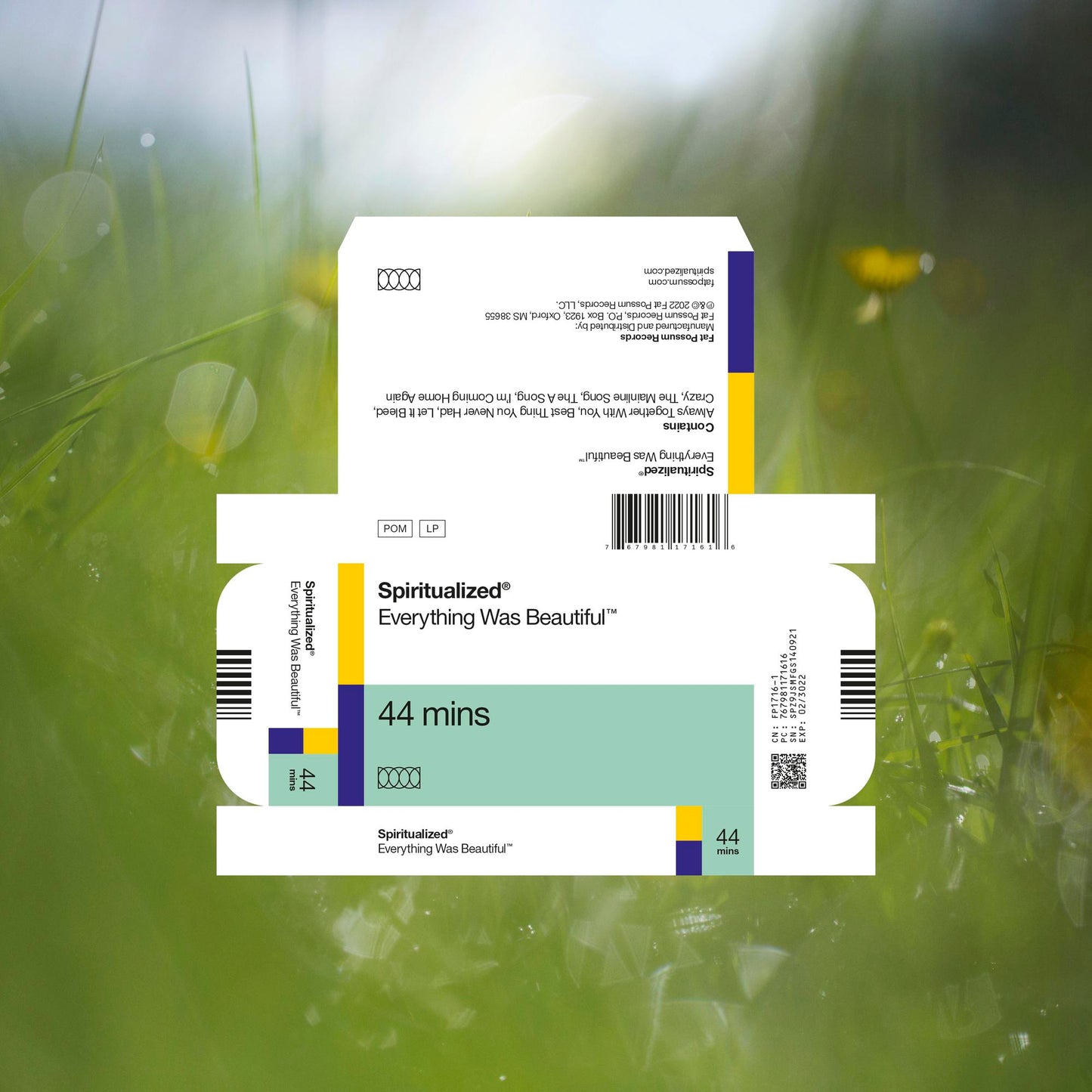 Spiritualized - Everything Was Beautiful Black Vinyl LP