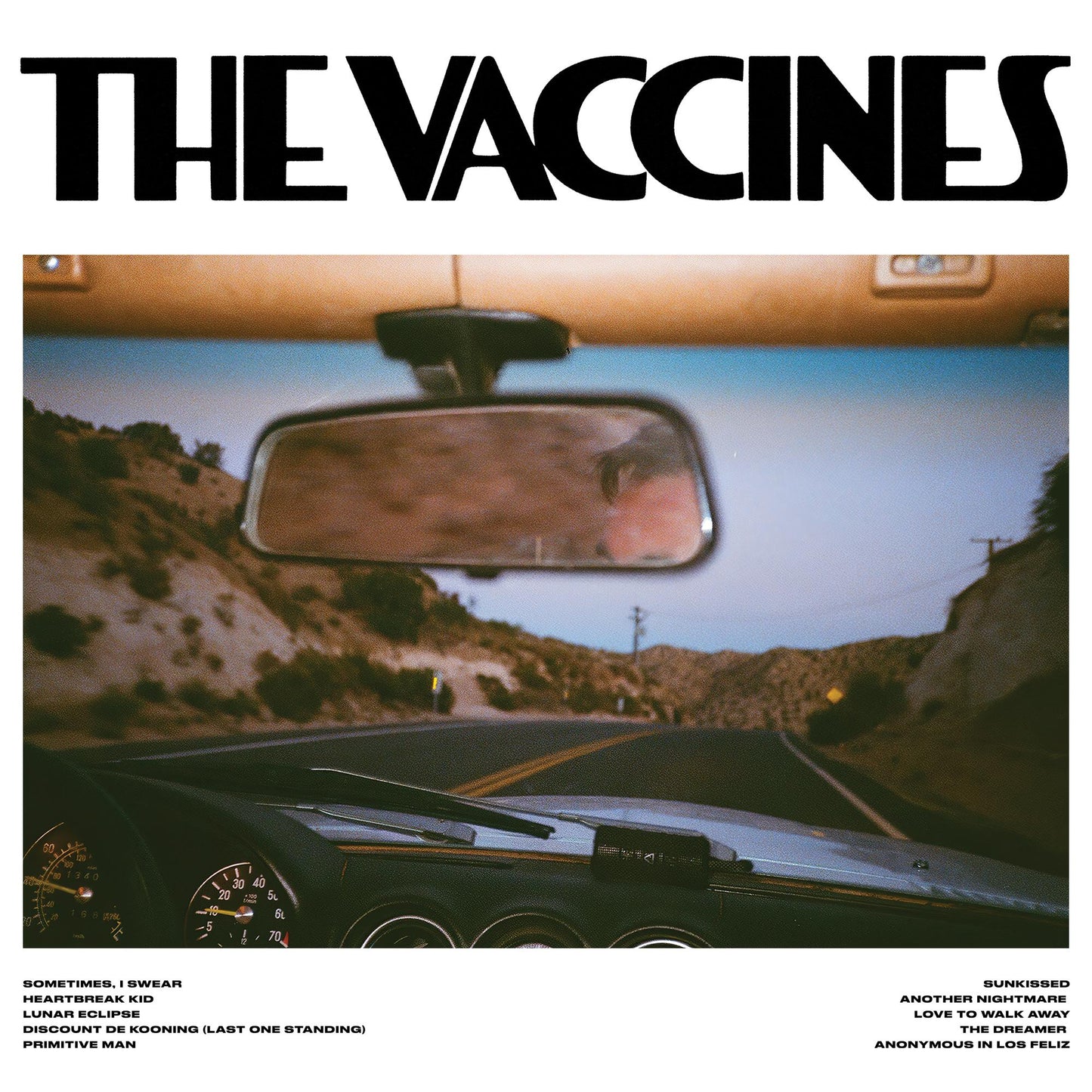 Vaccines - Pick Up Full Of Carnations Indies Translucent Pink Vinyl LP