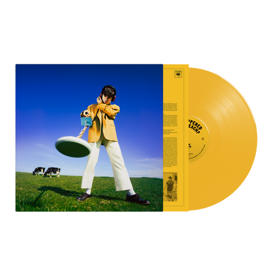 Declan McKenna What Happened to the Beach? Vinyl LP Indies Sun Yellow Colour 2024