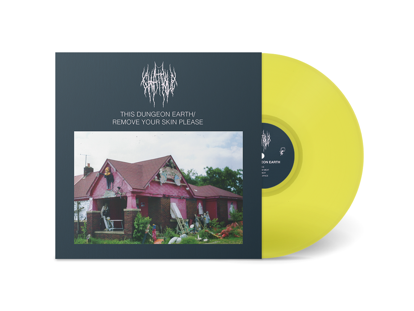 This Dungeon Earth / Remove Your Skin Please  FLENSER