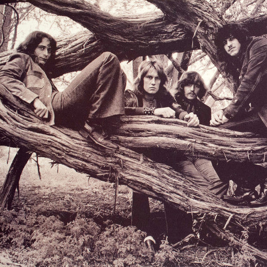 Ten Years After - Live At The Fillmore East 1970 Vinyl 3LP