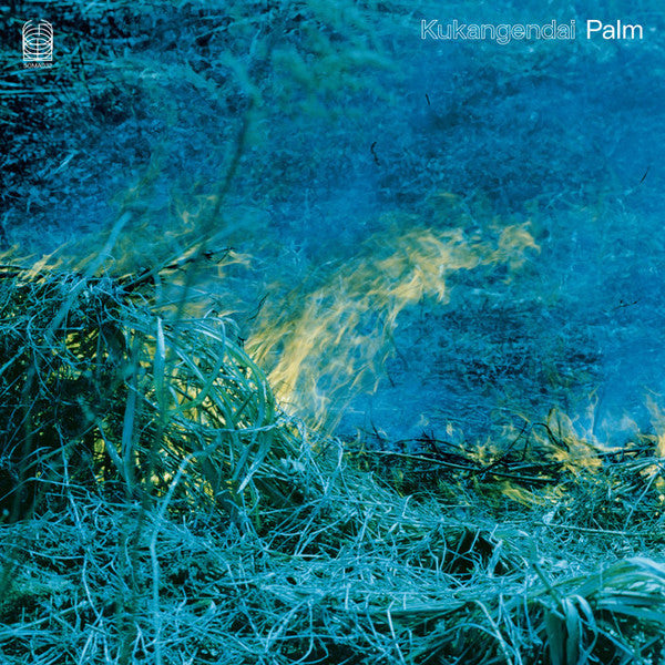 Kukangendai | Palm | Album