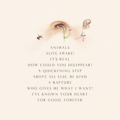 Ajimal - As It Grows Dark/Light Vinyl 2LP