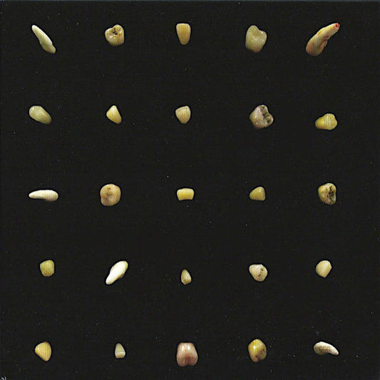 Clipping | Visions of Bodies Being Burned | Album