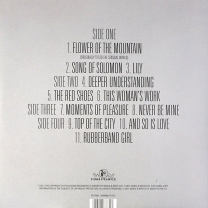 Kate Bush – Director's Cut - 2 x VINYL LP SET ORIGINAL ISSUE