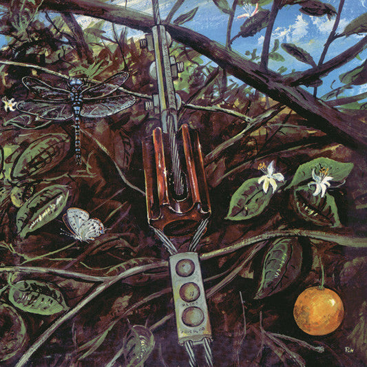 Dragonfly | Dragonfly | Album