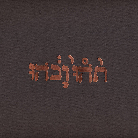 Godspeed You! Black Emperor | Slow Riot for New Zero Kanada (EP) | Album