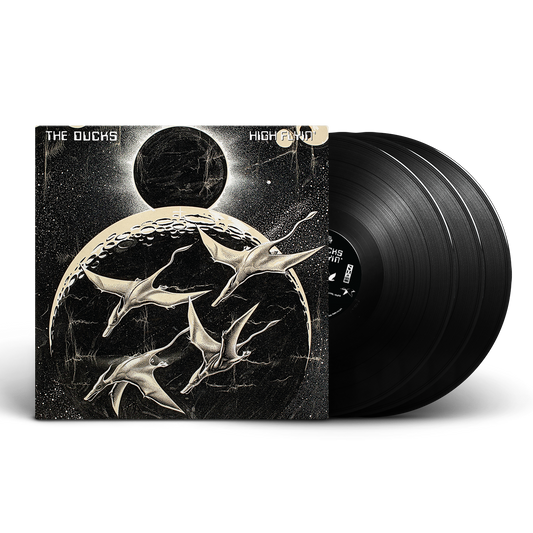 Ducks - High Flyin' Vinyl 3LP