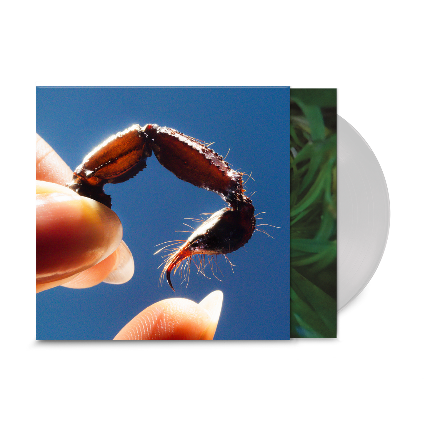 Squid - Cowards Indies Clear Vinyl LP