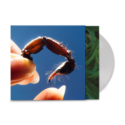 Squid - Cowards Indies Clear Vinyl LP