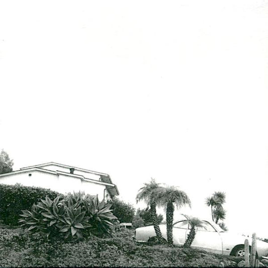 Timber Timbre | Hot Dreams | Album