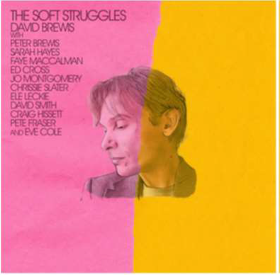 Dave Brewis - The Soft Struggles Vinyl LP