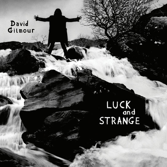 David Gilmour - Luck And Strange LP NEW
