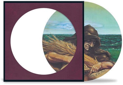 Grateful Dead - Wake Of The Flood LP NEW PIC DISC