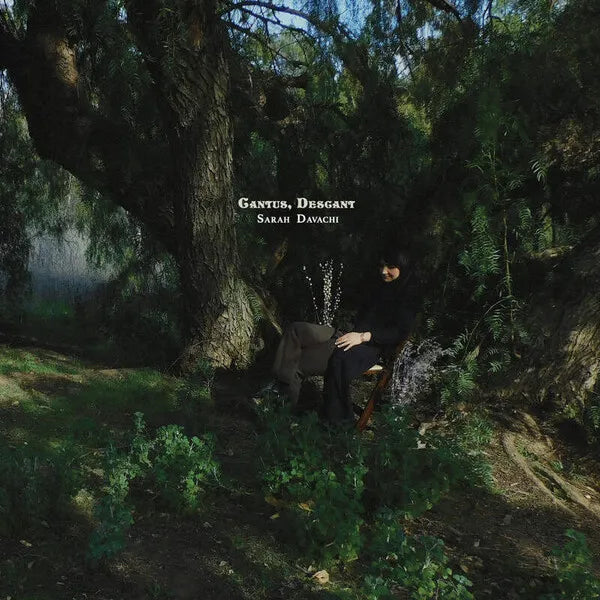 Sarah Davachi | Cantus Descant | Album