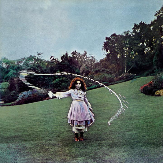 Trees - On the Shore ltd indies Oxblood Vinyl LP